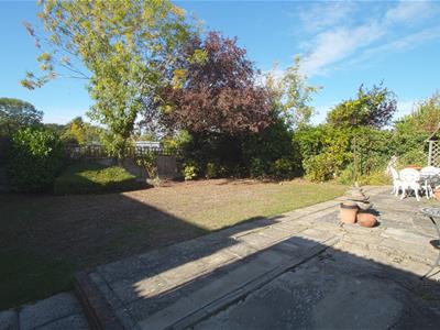 Picture 11